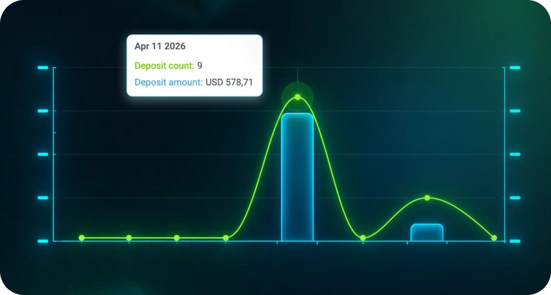 Campaign Performance Tracking
